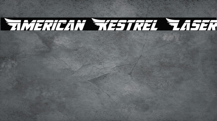 American Kestrel Laser Example 3