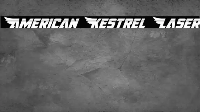 American Kestrel Laser Font examples