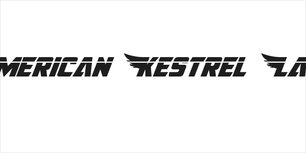 American Kestrel Laser Logo