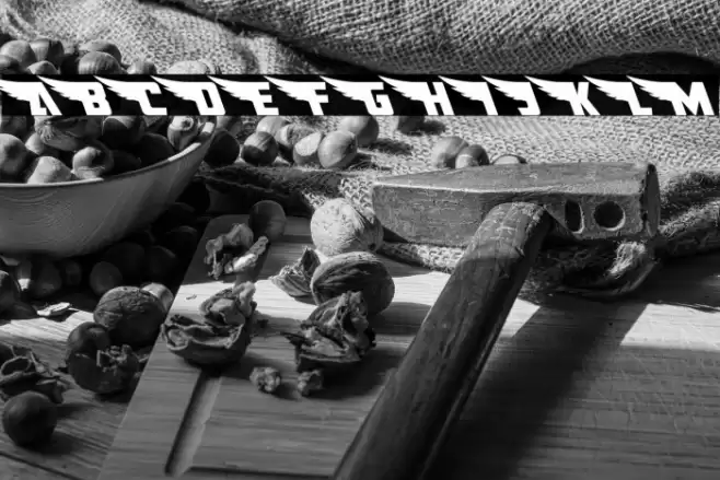 American Kestrel Leftalic Font examples