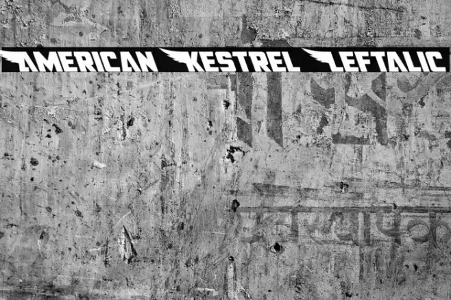 American Kestrel Leftalic Font examples