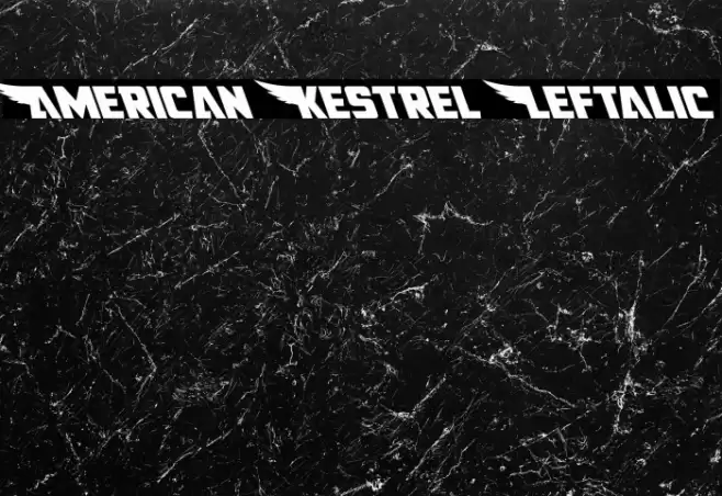 American Kestrel Leftalic Font examples