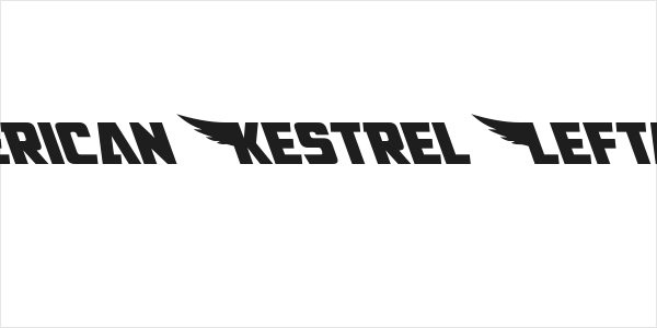 American Kestrel Leftalic Logo