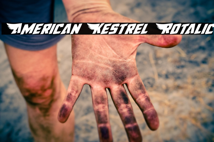 American Kestrel Rotalic Font examples