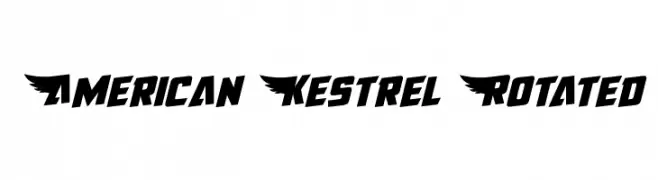 American Kestrel Rotated  Fuentes Gratis Descargar