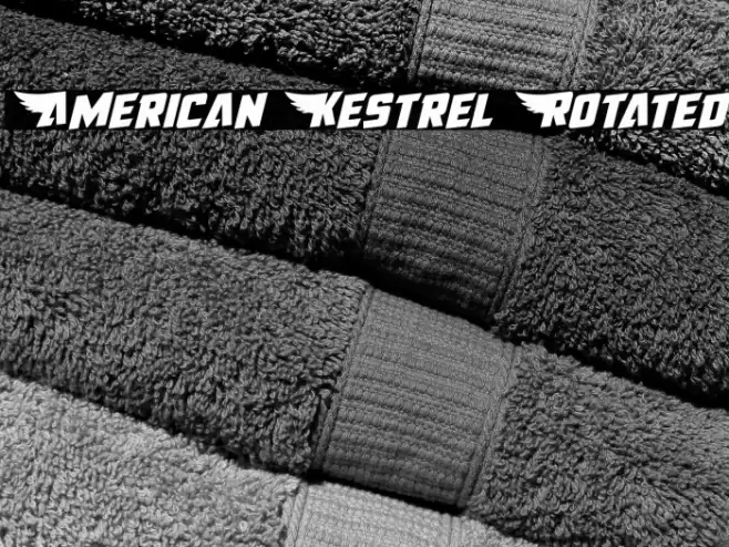 American Kestrel Rotated Font examples