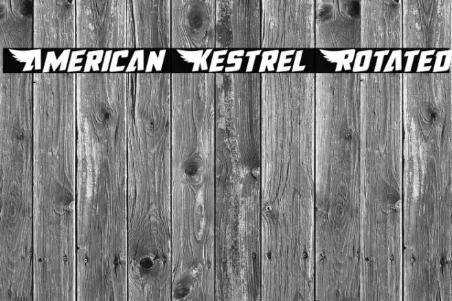 American Kestrel Rotated Font examples