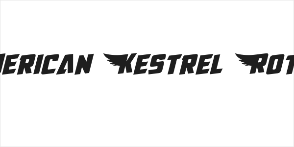 American Kestrel Rotated Logo