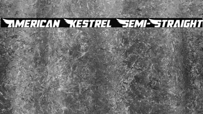 American Kestrel Semi-Straight Font examples