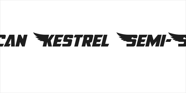 American Kestrel Semi-Straight Logo