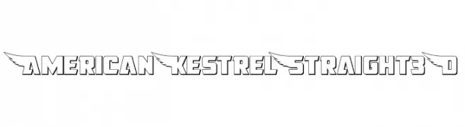 American Kestrel Straight 3D  フリーフォントのダウンロード