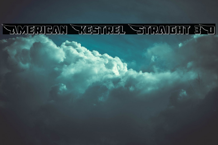 American Kestrel Straight 3D Example 1