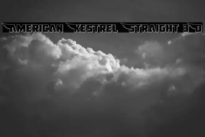 American Kestrel Straight 3D Font examples