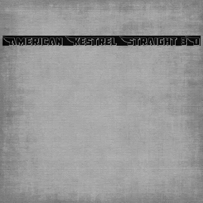 American Kestrel Straight 3D Font examples