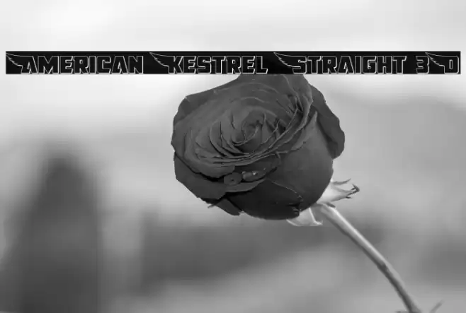 American Kestrel Straight 3D Font examples