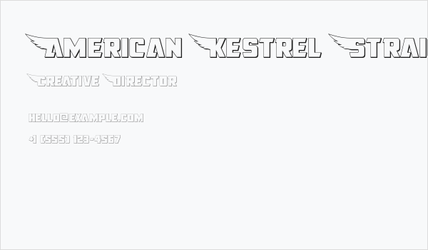 American Kestrel Straight 3D Business Card