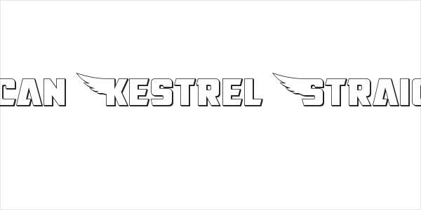 American Kestrel Straight 3D Logo