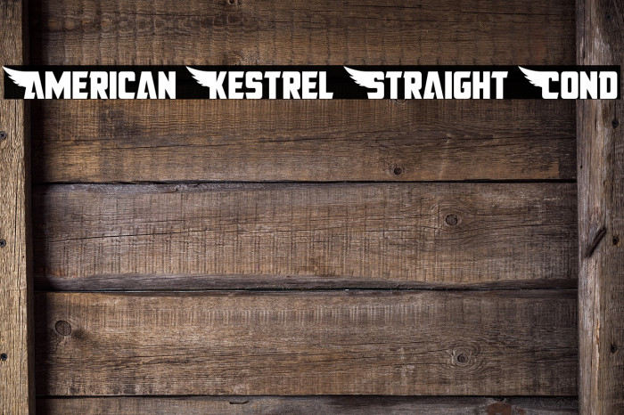 American Kestrel Straight Cond Font examples