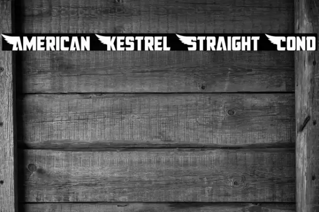 American Kestrel Straight Cond Font examples