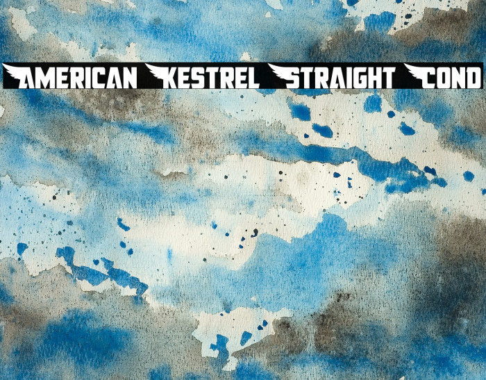 American Kestrel Straight Cond Font examples