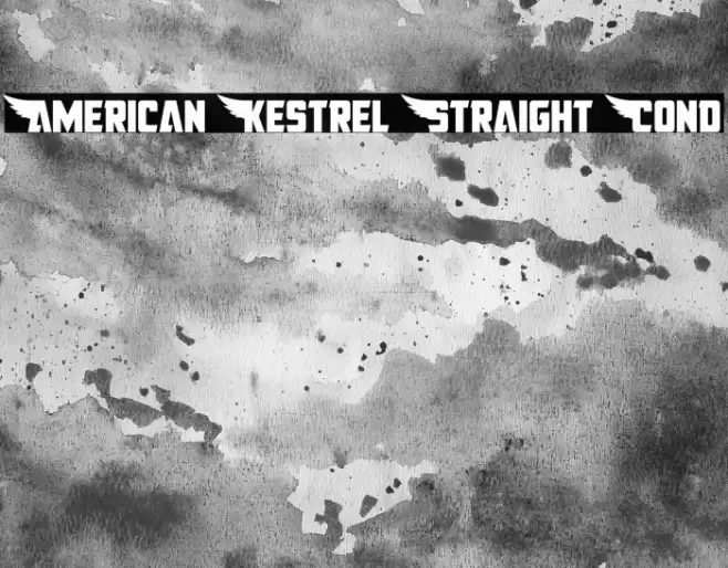 American Kestrel Straight Cond Font examples
