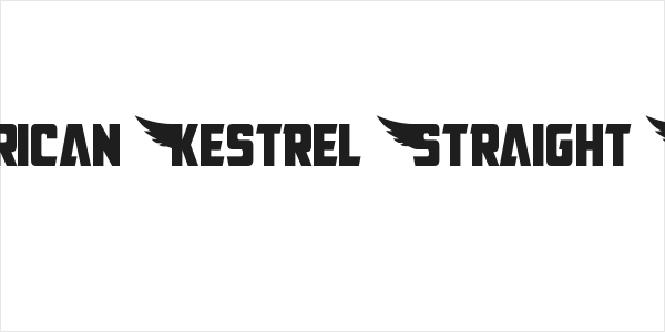 American Kestrel Straight Cond Logo