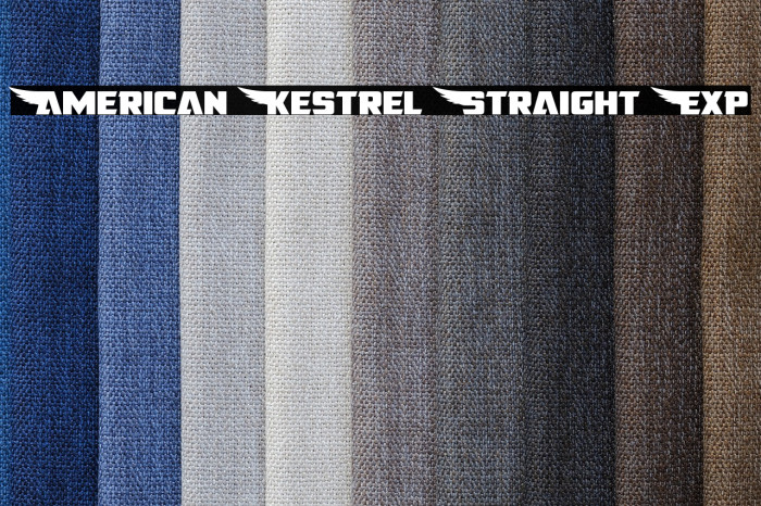 American Kestrel Straight Exp Example 1