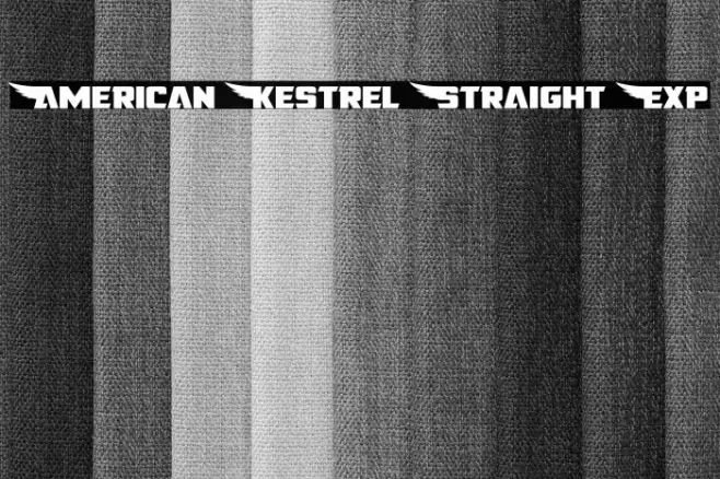 American Kestrel Straight Exp Font examples