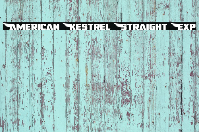 American Kestrel Straight Exp Example 2