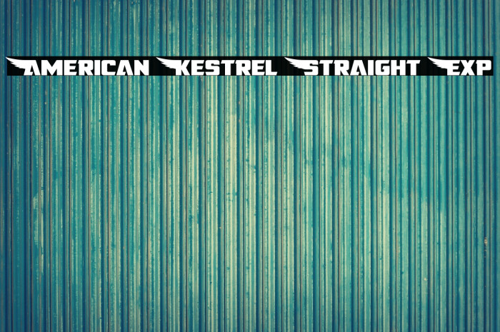 American Kestrel Straight Exp Example 3