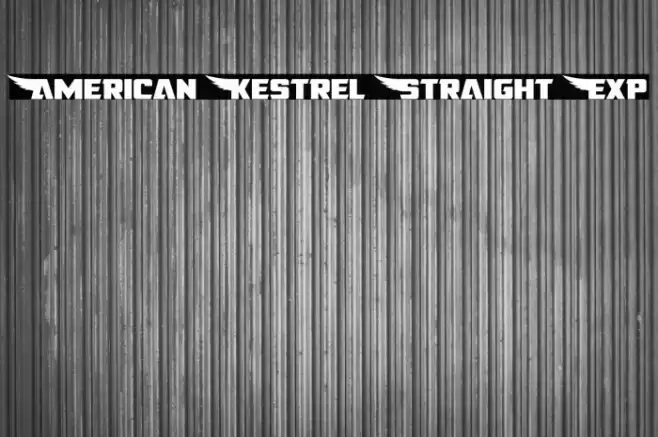 American Kestrel Straight Exp Font examples