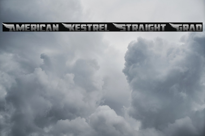 American Kestrel Straight Grad Font examples