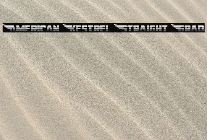 American Kestrel Straight Grad Font examples