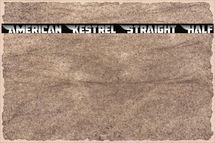 American Kestrel Straight Half Font examples