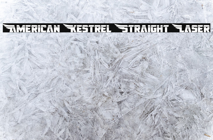 American Kestrel Straight Laser Font examples