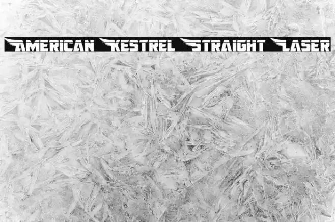 American Kestrel Straight Laser Font examples