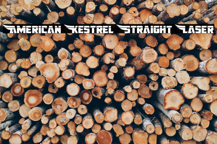 American Kestrel Straight Laser Font examples