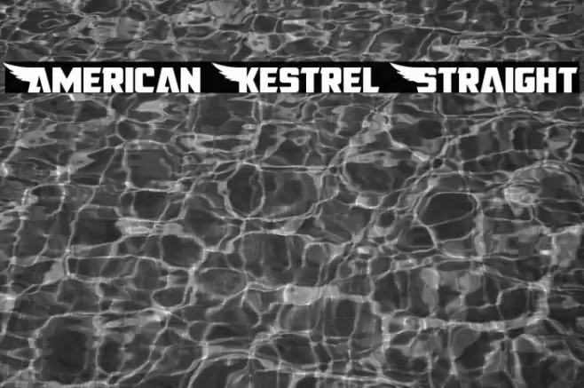 American Kestrel Straight Font examples