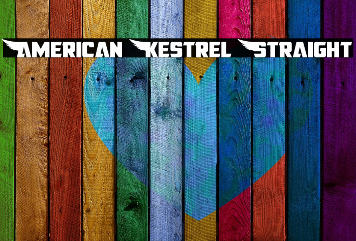 American Kestrel Straight Example 2