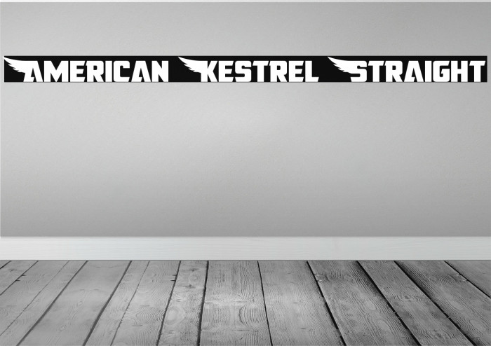 American Kestrel Straight Example 3