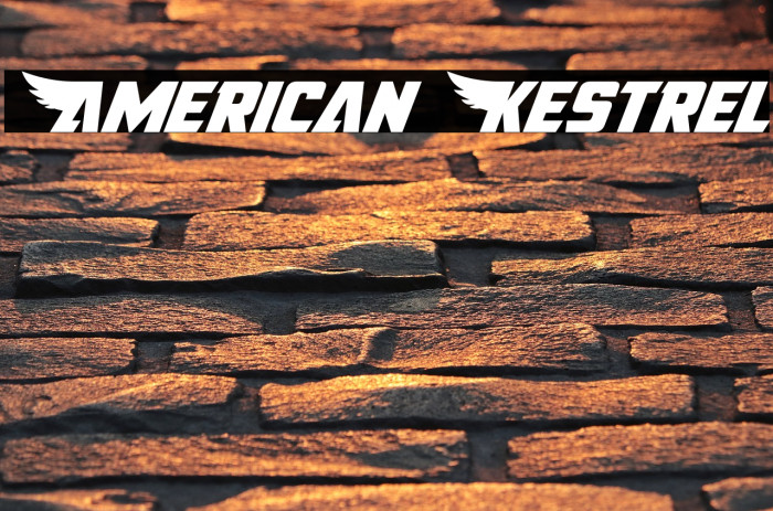 American Kestrel Font examples