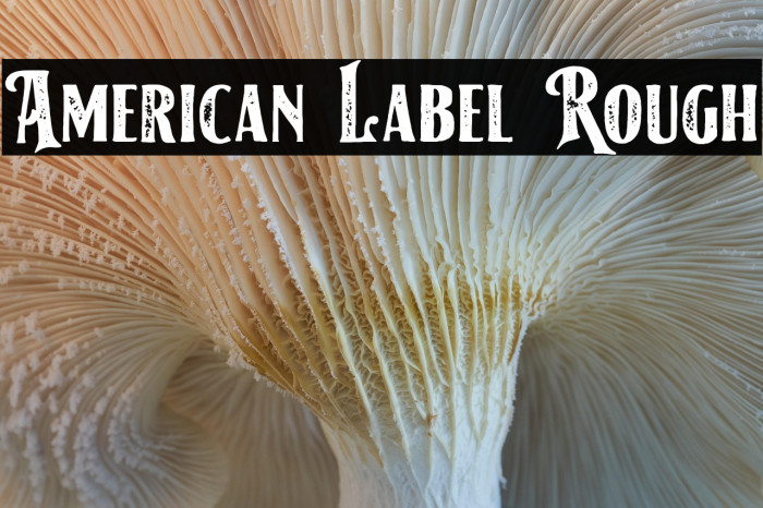 American Label Rough Example 1