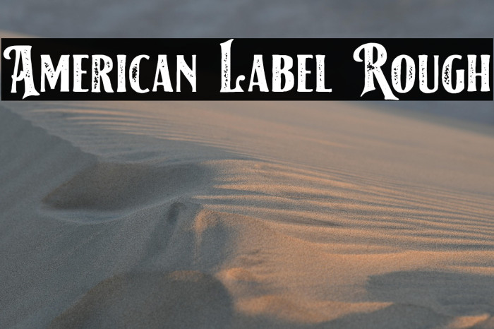 American Label Rough Example 2