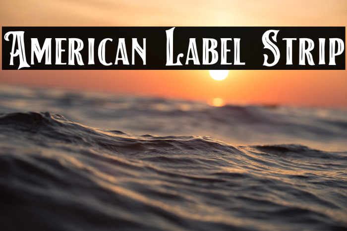 American Label Strip Example 2