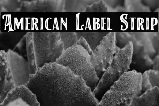 American Label Strip Font examples