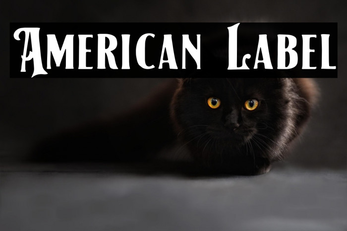 American Label Example 1