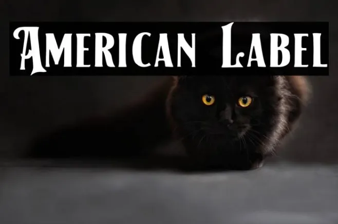 American Label Example 1