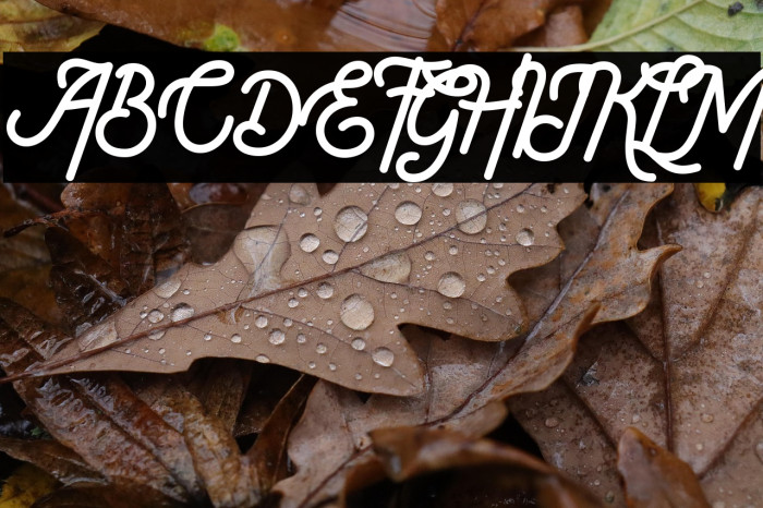 American Lemon Example 2