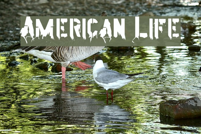 American Life Font examples