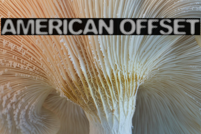 American Offset Example 2